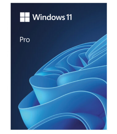 Windows 11 Pro