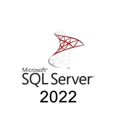 MICROSOFT SQL SERVER 2022 STANDARD