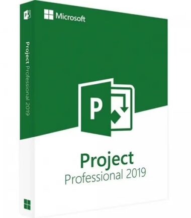 Microsoft Project 2019 Professional pro Servery